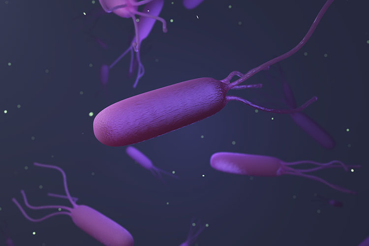 ピロリ菌のイメージ写真